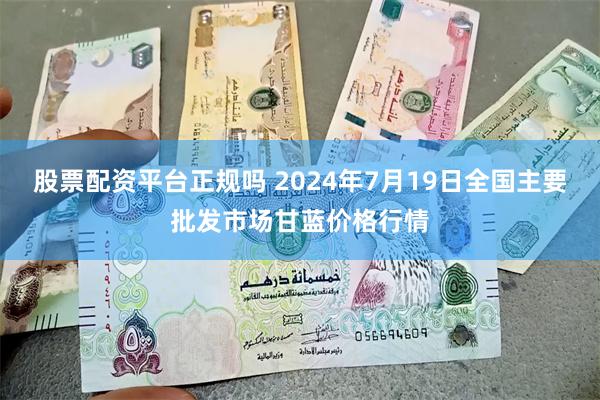 股票配资平台正规吗 2024年7月19日全国主要批发市场甘蓝价格行情