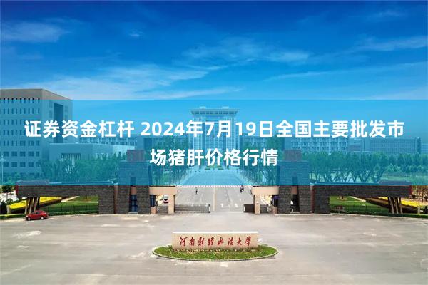 证券资金杠杆 2024年7月19日全国主要批发市场猪肝价格行情