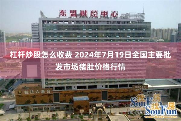 杠杆炒股怎么收费 2024年7月19日全国主要批发市场猪肚价格行情