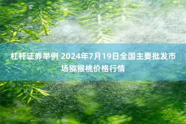 杠杆证券举例 2024年7月19日全国主要批发市场猕猴桃价格行情