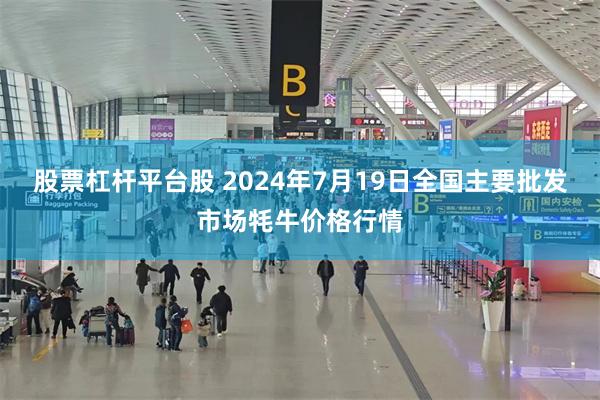 股票杠杆平台股 2024年7月19日全国主要批发市场牦牛价格行情