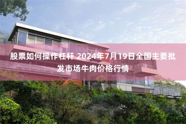 股票如何操作杠杆 2024年7月19日全国主要批发市场牛肉价格行情