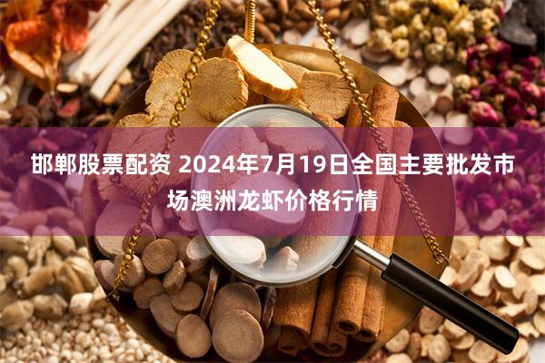 邯郸股票配资 2024年7月19日全国主要批发市场澳洲龙虾价格行情