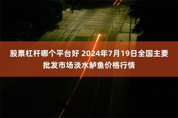 股票杠杆哪个平台好 2024年7月19日全国主要批发市场淡水鲈鱼价格行情