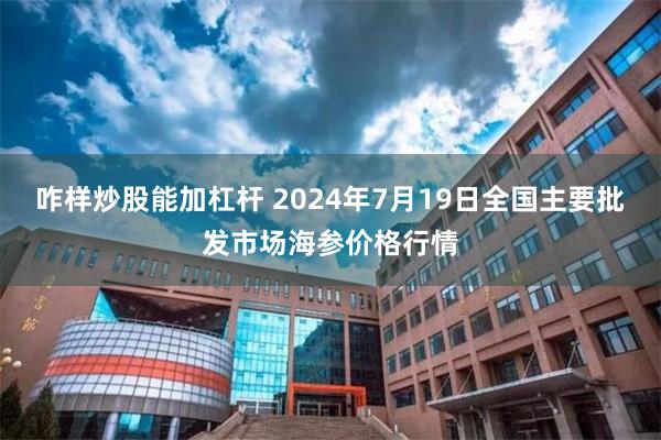 咋样炒股能加杠杆 2024年7月19日全国主要批发市场海参价格行情