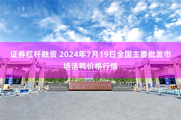 证券杠杆融资 2024年7月19日全国主要批发市场活鸭价格行情