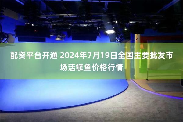 配资平台开通 2024年7月19日全国主要批发市场活鳜鱼价格行情