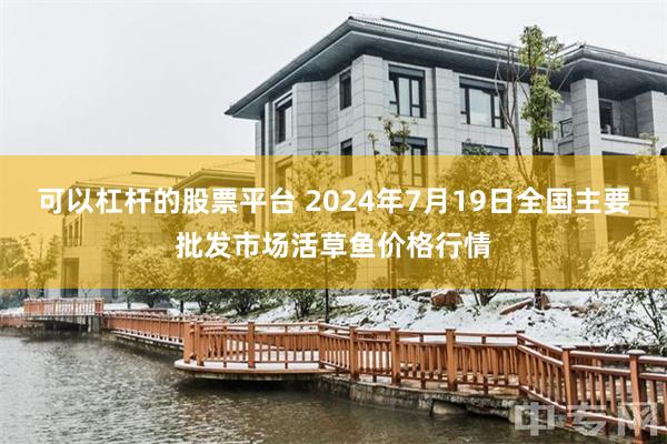 可以杠杆的股票平台 2024年7月19日全国主要批发市场活草鱼价格行情