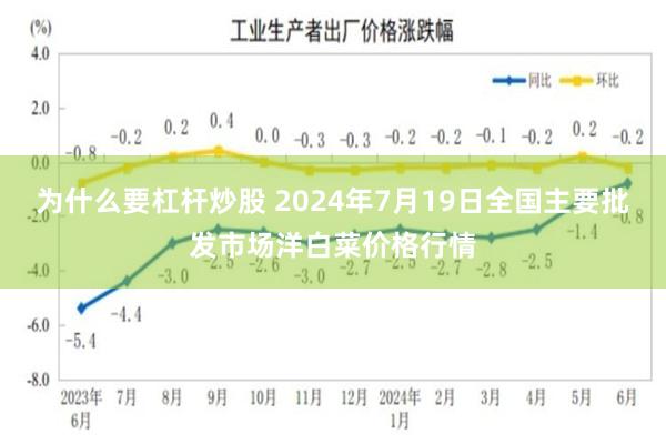 为什么要杠杆炒股 2024年7月19日全国主要批发市场洋白菜价格行情