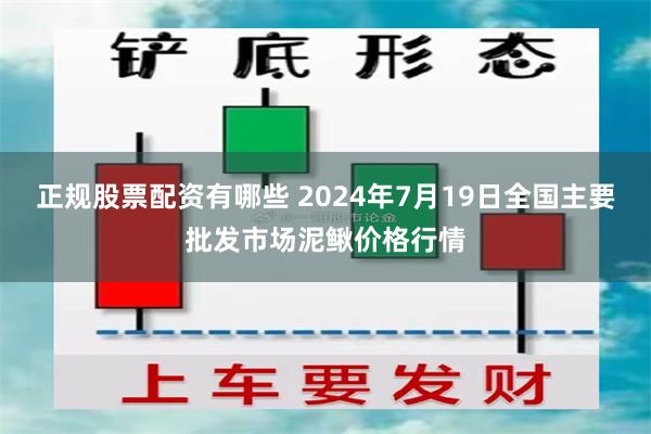 正规股票配资有哪些 2024年7月19日全国主要批发市场泥鳅价格行情