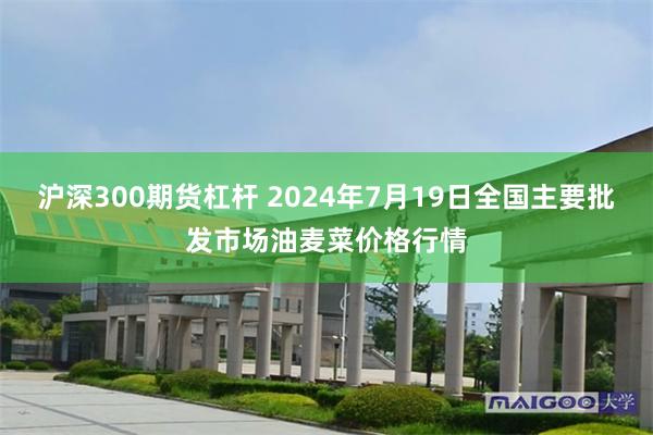 沪深300期货杠杆 2024年7月19日全国主要批发市场油麦菜价格行情