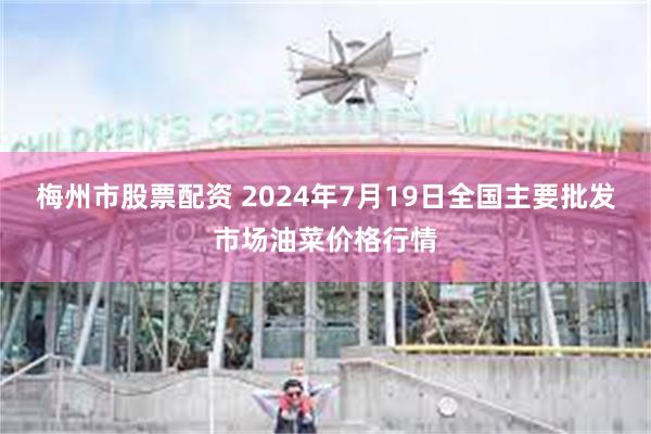 梅州市股票配资 2024年7月19日全国主要批发市场油菜价格行情