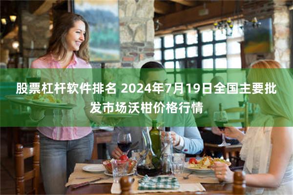 股票杠杆软件排名 2024年7月19日全国主要批发市场沃柑价格行情