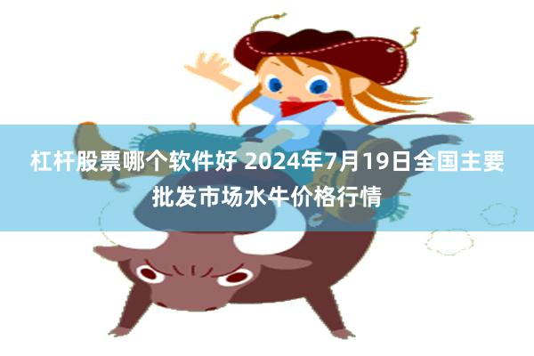 杠杆股票哪个软件好 2024年7月19日全国主要批发市场水牛价格行情