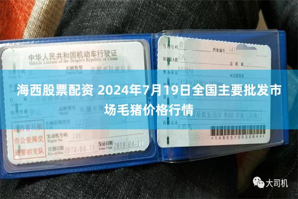 海西股票配资 2024年7月19日全国主要批发市场毛猪价格行情