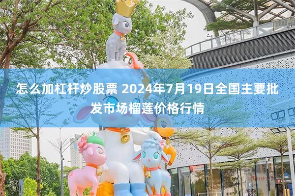 怎么加杠杆炒股票 2024年7月19日全国主要批发市场榴莲价格行情