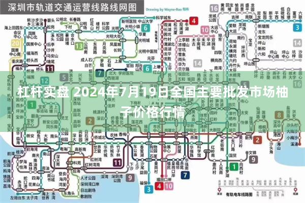 杠杆实盘 2024年7月19日全国主要批发市场柚子价格行情