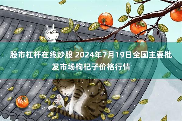 股市杠杆在线炒股 2024年7月19日全国主要批发市场枸杞子价格行情