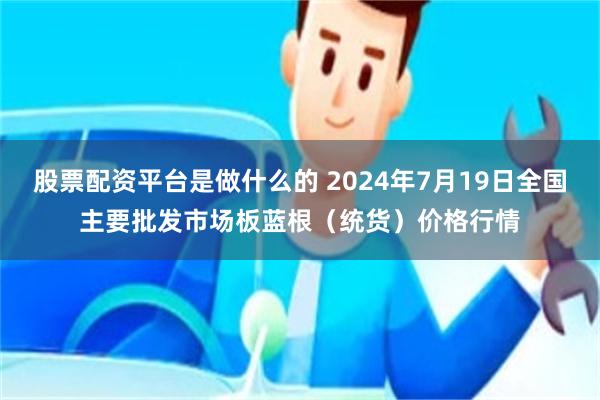 股票配资平台是做什么的 2024年7月19日全国主要批发市场板蓝根（统货）价格行情