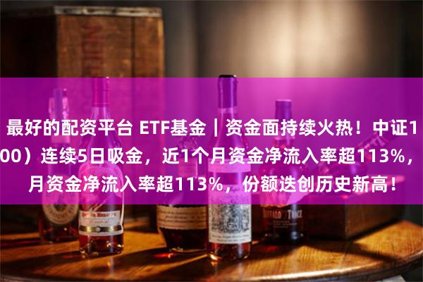 最好的配资平台 ETF基金｜资金面持续火热！中证100ETF基金（562000）连续5日吸金，近1个月资金净流入率超113%，份额迭创历史新高！