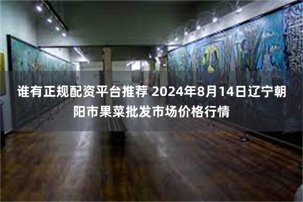 谁有正规配资平台推荐 2024年8月14日辽宁朝阳市果菜批发市场价格行情