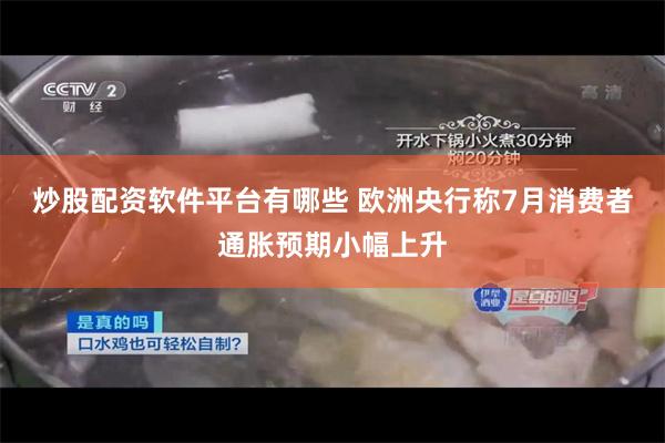 炒股配资软件平台有哪些 欧洲央行称7月消费者通胀预期小幅上升