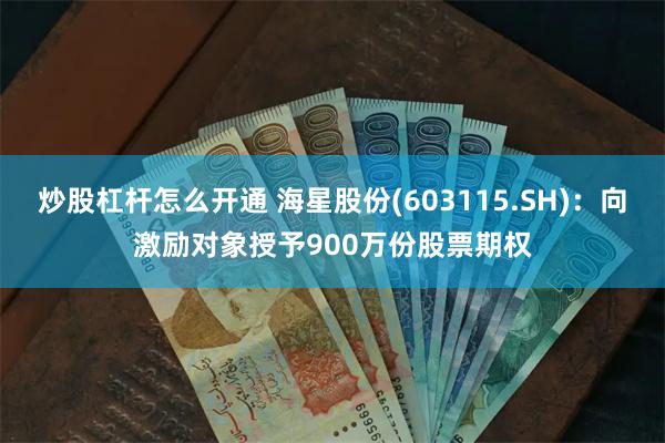 炒股杠杆怎么开通 海星股份(603115.SH)：向激励对象授予900万份股票期权