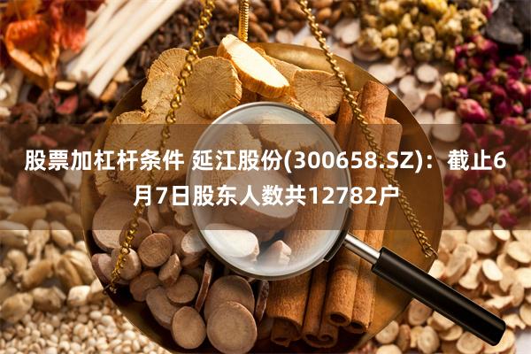 股票加杠杆条件 延江股份(300658.SZ)：截止6月7日股东人数共12782户