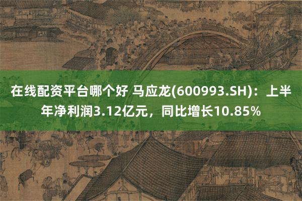 在线配资平台哪个好 马应龙(600993.SH)：上半年净利润3.12亿元，同比增长10.85%