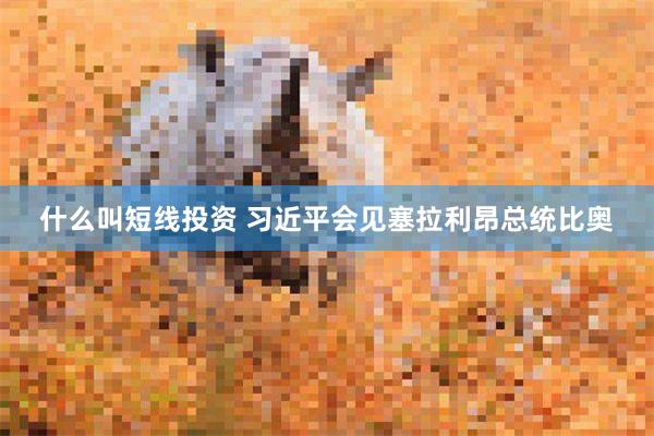 什么叫短线投资 习近平会见塞拉利昂总统比奥