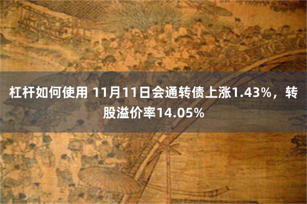 杠杆如何使用 11月11日会通转债上涨1.43%，转股溢价率14.05%