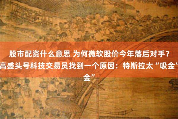 股市配资什么意思 为何微软股价今年落后对手？高盛头号科技交易员找到一个原因：特斯拉太“吸金”