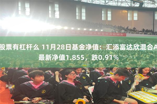 股票有杠杆么 11月28日基金净值：汇添富达欣混合A最新净值1.855，跌0.91%