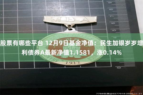 股票有哪些平台 12月9日基金净值：民生加银岁岁增利债券A最新净值1.1581，涨0.14%