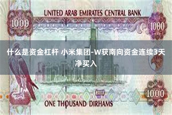 什么是资金杠杆 小米集团-W获南向资金连续3天净买入